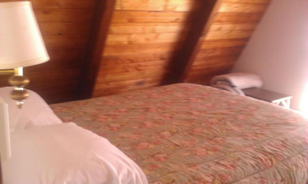 Oliver Lodge Meredith Zimmer foto
